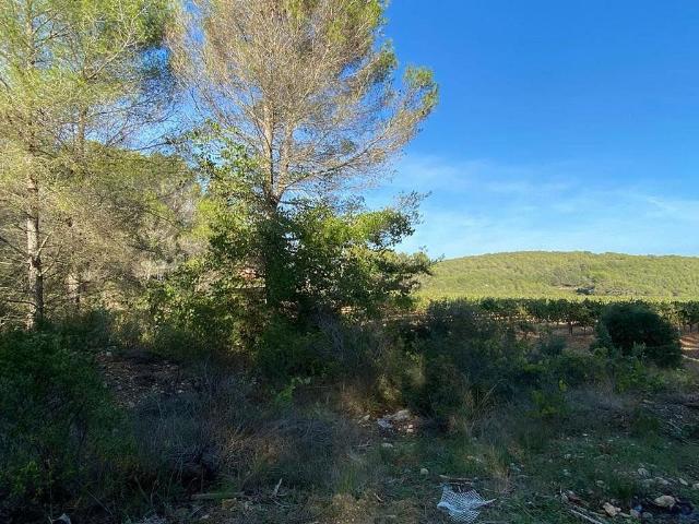 Terreno en venta en Olèrdola, de 49.734 m² por 150.000