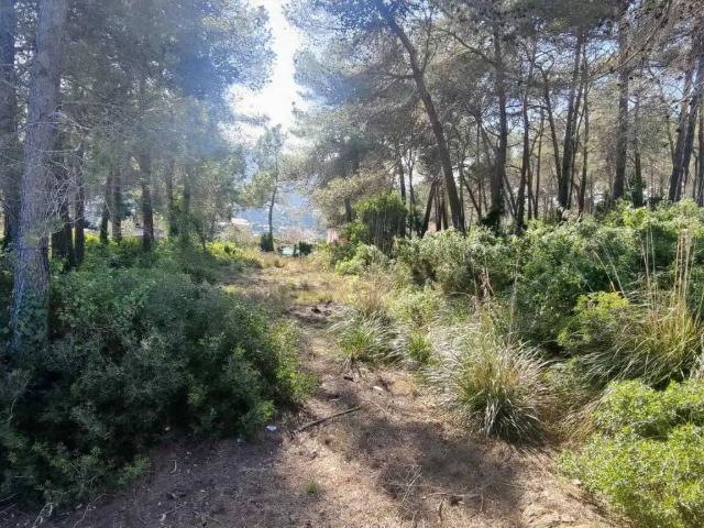 Terreno en Venta en Olesa de Bonesvalls