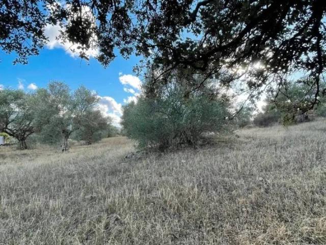 Terreno en Venta en Oliva de Plasencia
