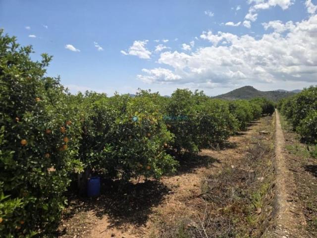 Terreno en venta en Oliva