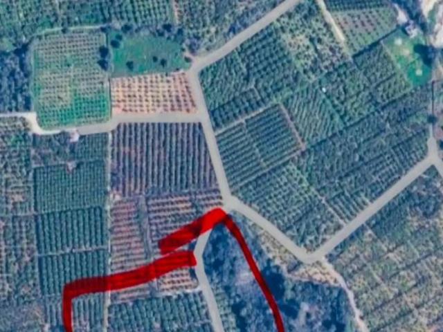 Terreno en Venta en Oliva