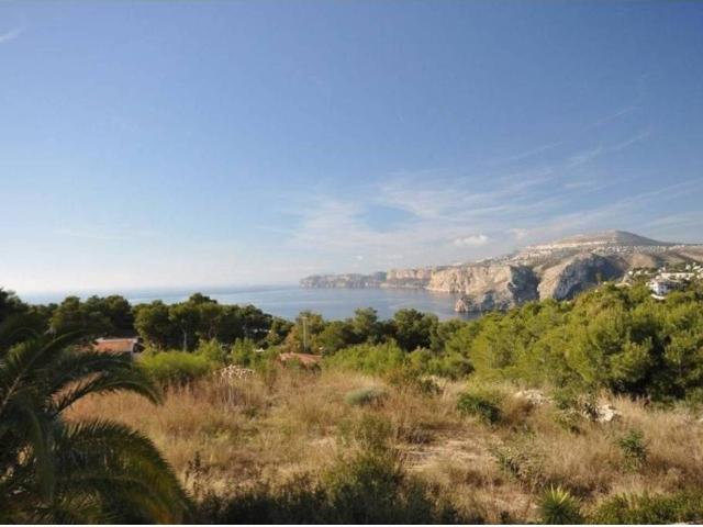 Terreno en Venta en Oliva
