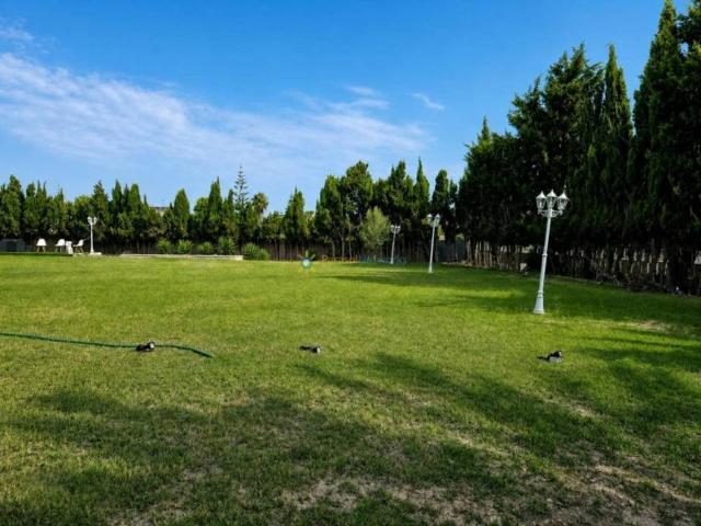 Terreno en Venta en Oliva