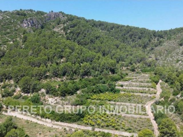 Terreno en Venta en Oliva