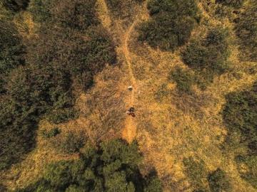 TERRENO EN VENTA EN OLIVAR DEL CONDE