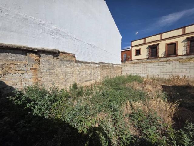 Terreno en Venta en Olivares