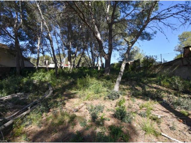 Terreno en Venta en Olivella