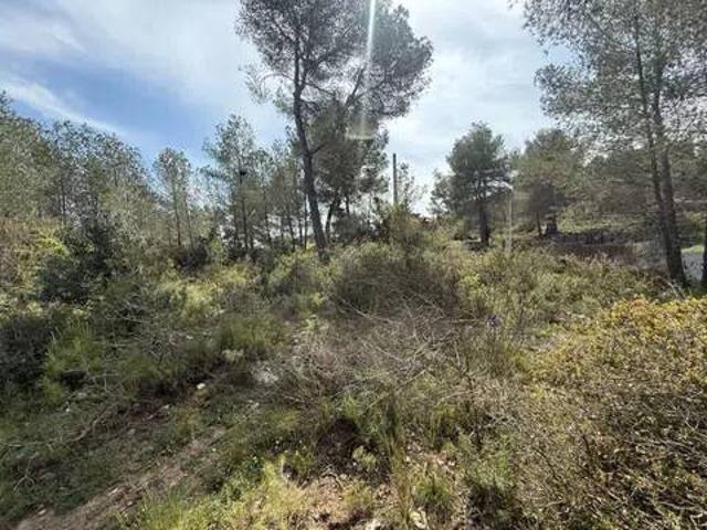 Terreno en Venta en Olivella