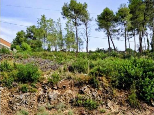 Terreno en Venta en Olivella