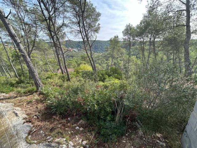 Terreno en Venta en Olivella