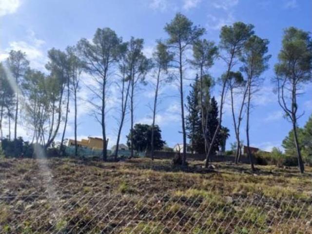 Terreno en Venta en Olivella