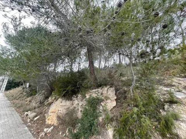 Terreno en Venta en Olivella