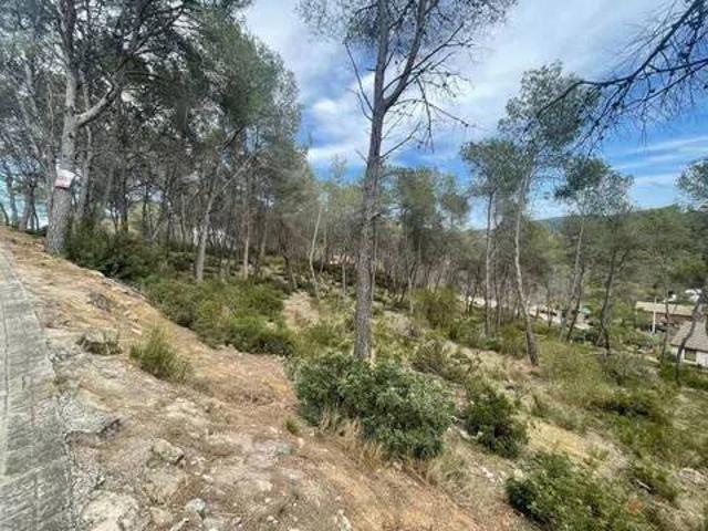 Terreno en Venta en Olivella