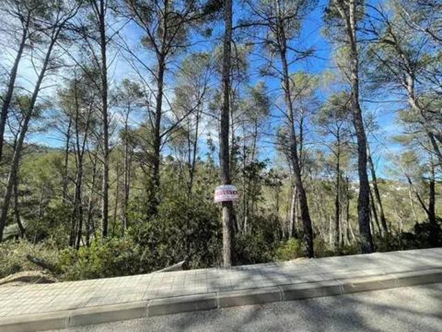 Terreno en Venta en Olivella