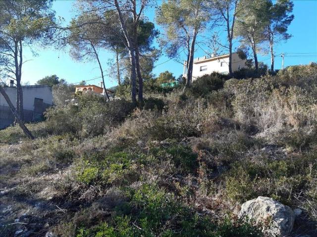 Terreno en Venta en Olivella