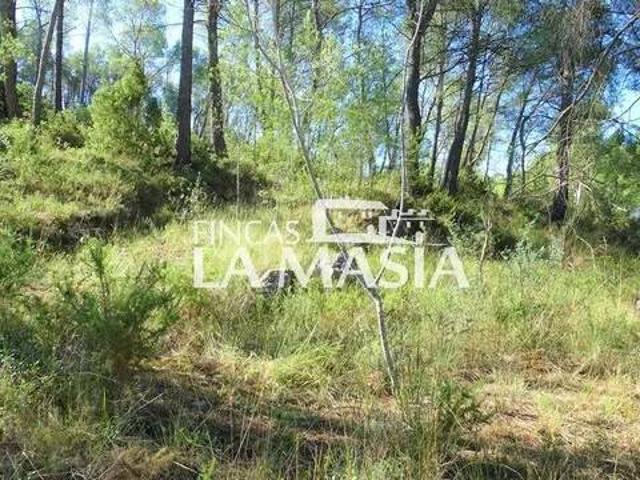 Terreno en Venta en Olivella