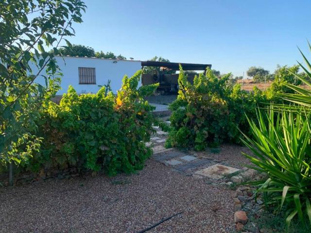 Terreno en Venta en Olivenza