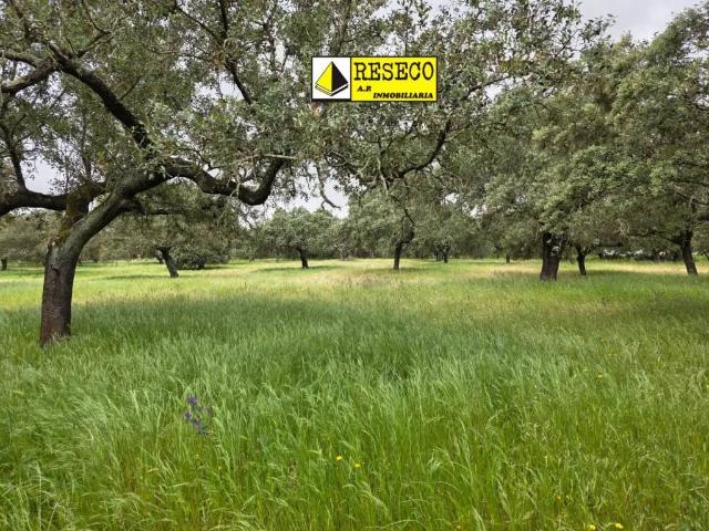 Terreno en Venta en Olivenza