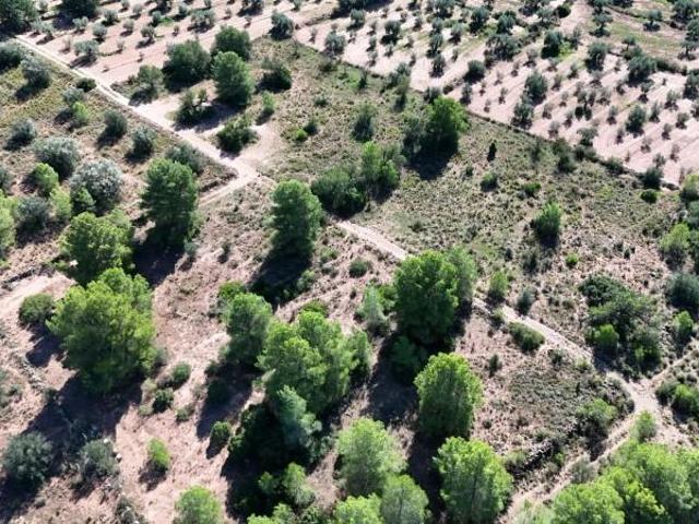 Terreno en venta en Olocau, Comunidad valenciana
