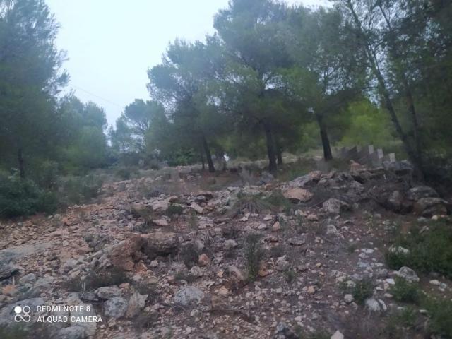 Terreno en venta, en Olocau, LA LLOMA OLOCAU