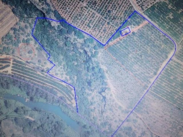 Terreno en Venta en Onda