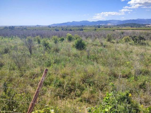 Terreno en Venta en Onda