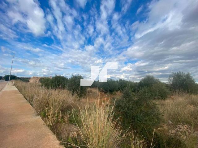Terreno en Venta en Onda