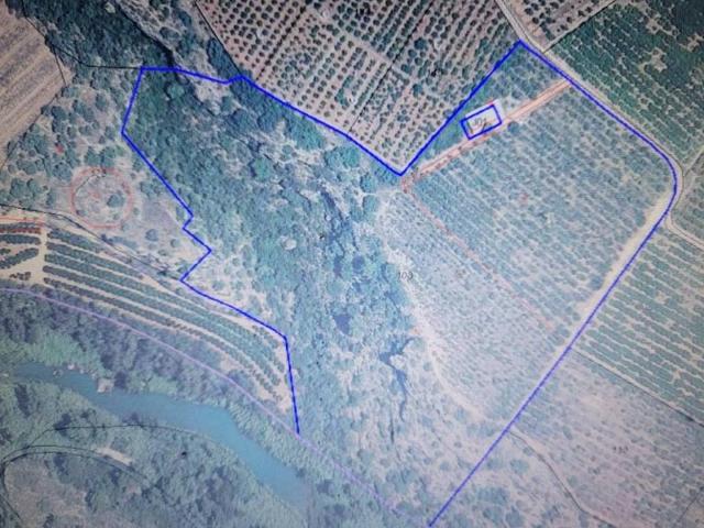 Terreno en Venta en Onda