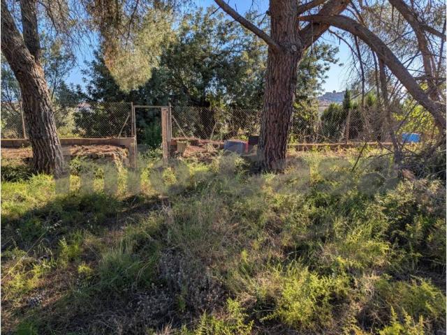 Terreno en Venta en Onda