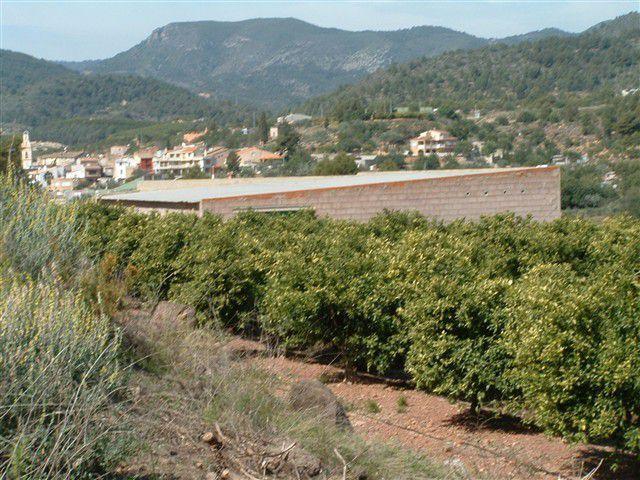 Terreno en venta en Onda, Onda