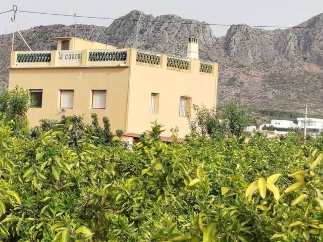 Terreno en Venta en Ondara