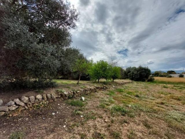 Terreno en Venta en Ondara