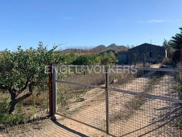 Terreno en Venta en Ondara