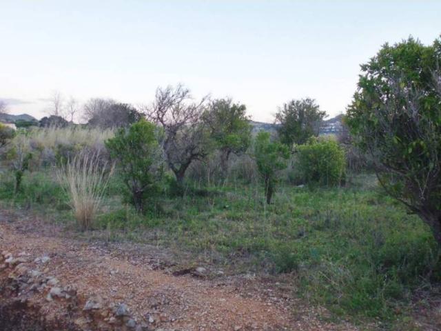 Terreno en Venta en Ondara