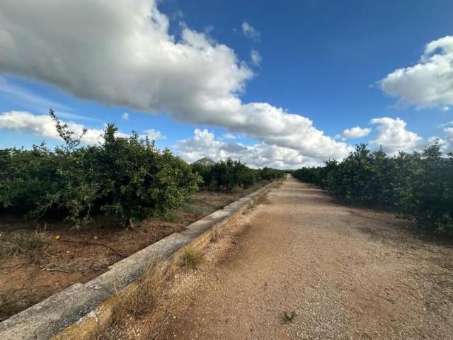 Terreno en venta en Ondara, POLIGONO