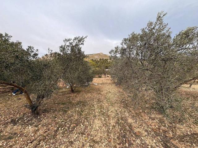 Terreno en Venta en Onil