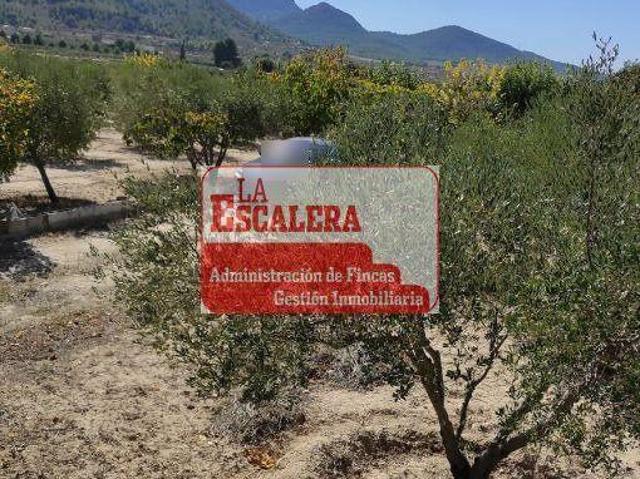 Terreno en venta en Onil, La Marjal