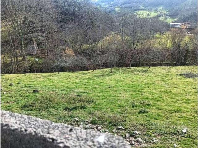 Terreno en Venta en Onís