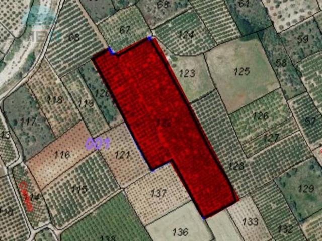 Terreno en Venta en Orba