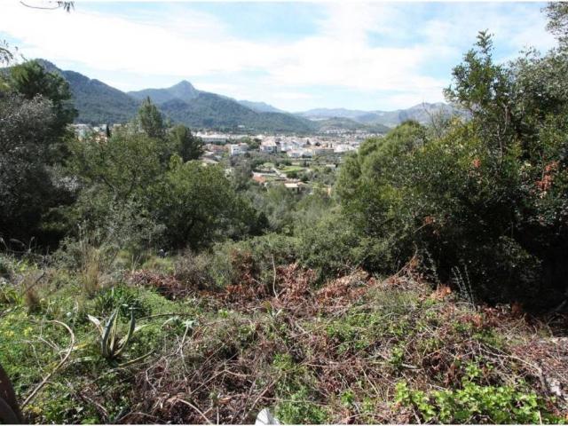 Terreno en Venta en Orba