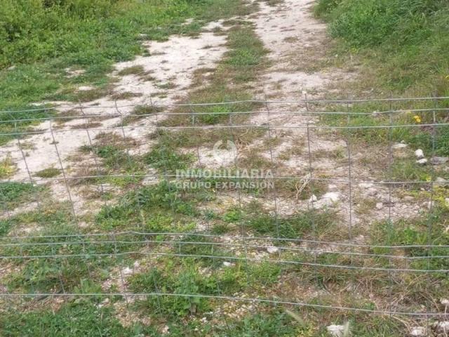 Terreno en Venta en Orba