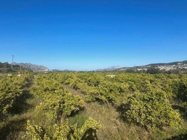 Terreno en venta en Orba, Comunidad valenciana
