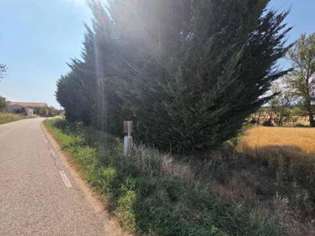 Terreno en Venta en Orbaneja Riopico