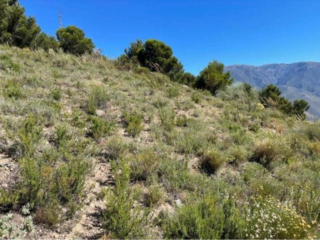 Terreno en Venta en Órgiva