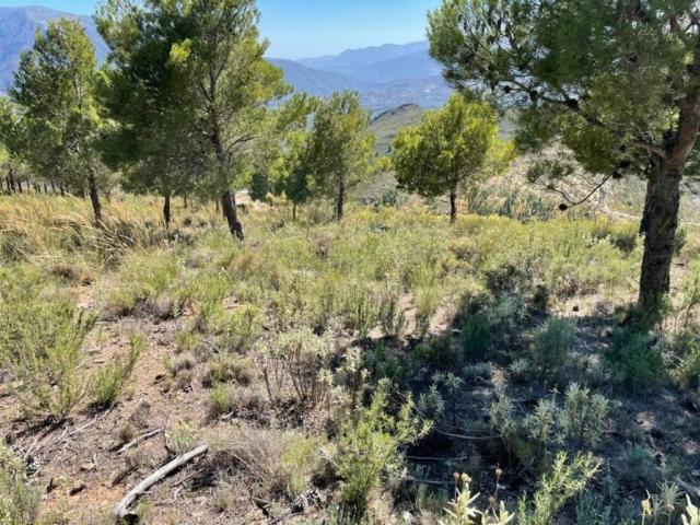 Terreno en Venta en Órgiva