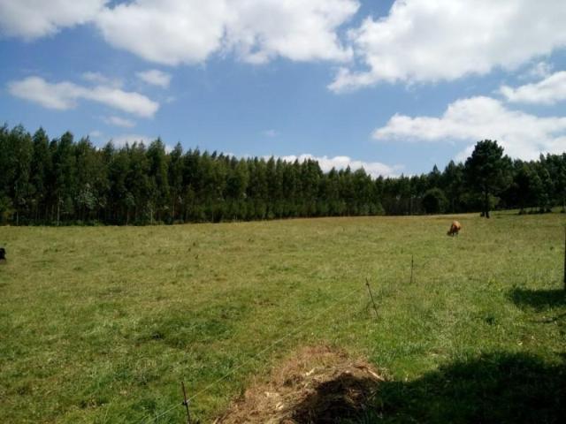 Terreno en venta en Ordes, A brea