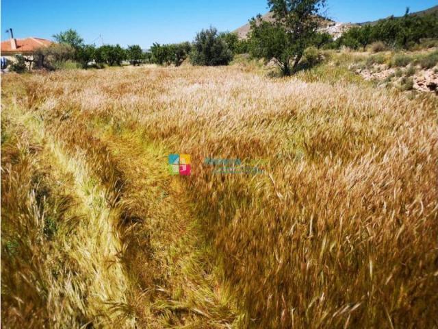 Terreno en Venta en Oria
