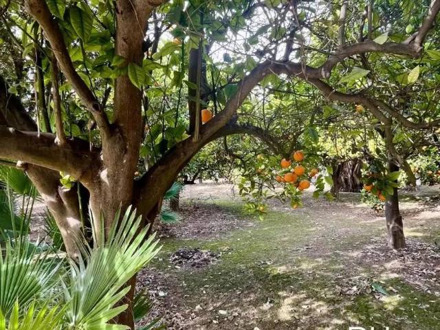 Terreno en Venta en Oria