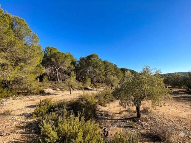 Terreno en Venta en Oria