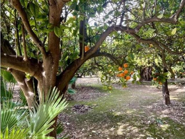Terreno en Venta en Oria